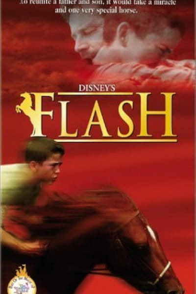 Flash (1997)