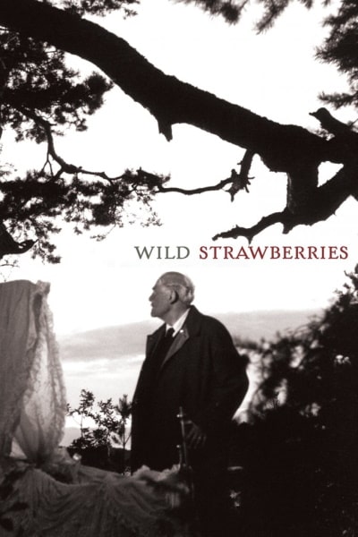 Wild Strawberries (Smultronstallet)
