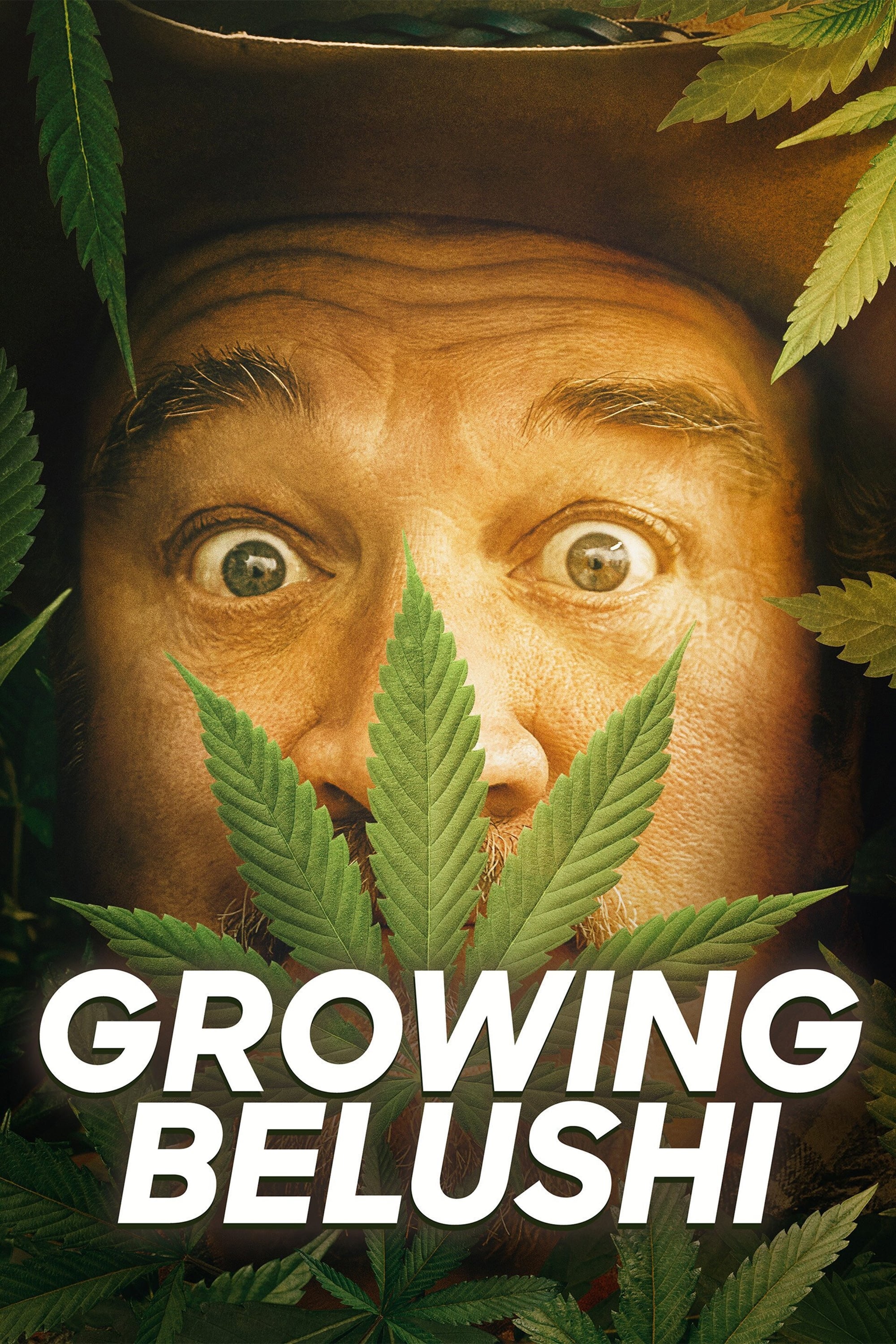 Growing Belushi - Season 3