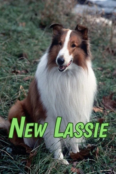 The New Lassie - Season 1