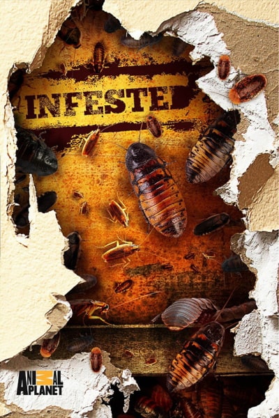 Infested! - Season 2