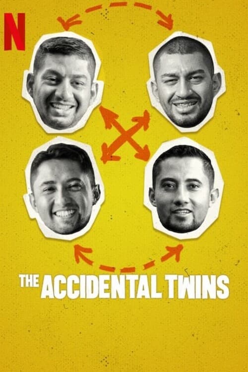 The Accidental Twins [Audio: Spanish]