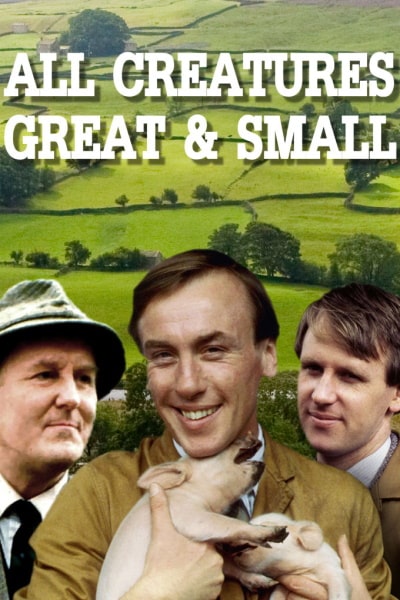 All Creatures Great and Small - Season 2 (1978)