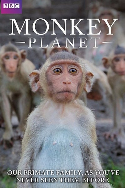 Monkey Planet - Season 1